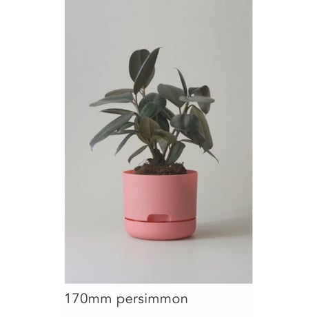 【170mm】KITLY Selfwatering Plant Pots
