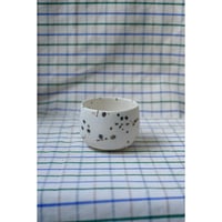Yoshinori Takemura cup