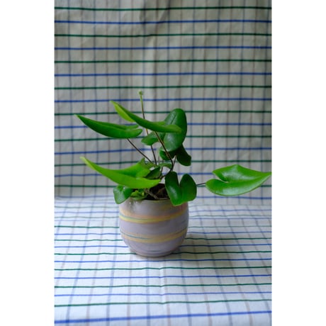 Yoshinori Takemura plant pot