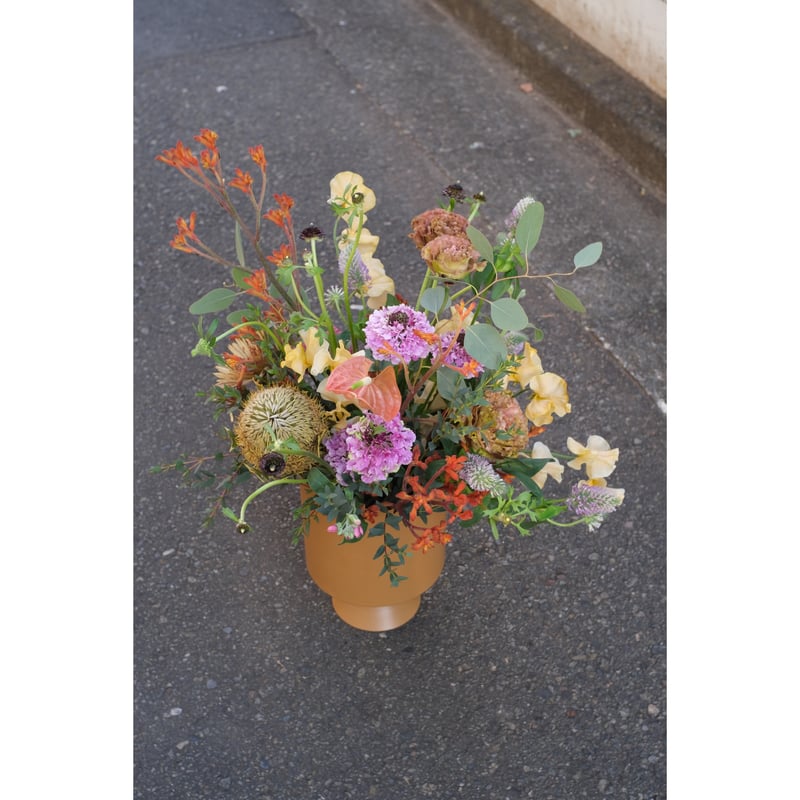 SAI Arrangement | SAI botanical works