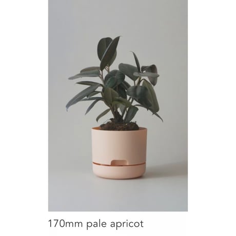 【170mm】KITLY Selfwatering Plant Pots