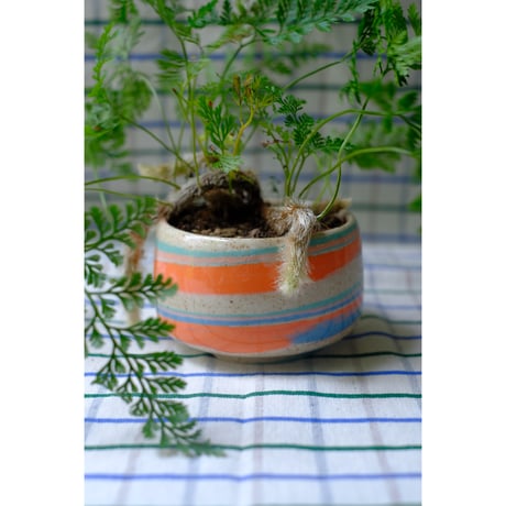 Yoshinori Takemura plant pot