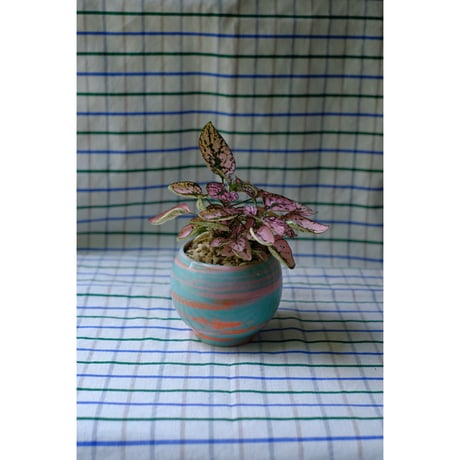 Yoshinori Takemura plant pot