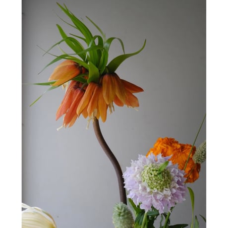 💐お花の定期便