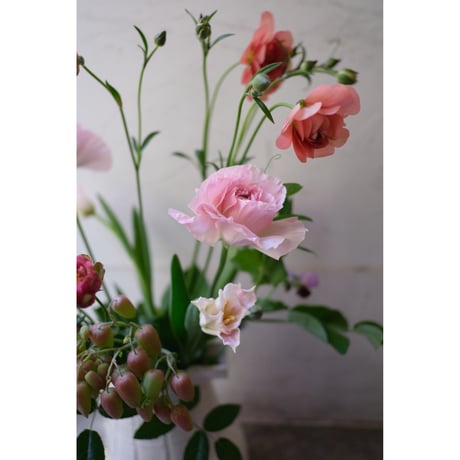 💐お花の定期便