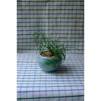 Yoshinori Takemura plant pot