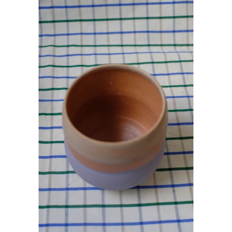 Yoshinori Takemura cup