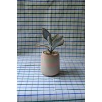 Yoshinori Takemura plant pot