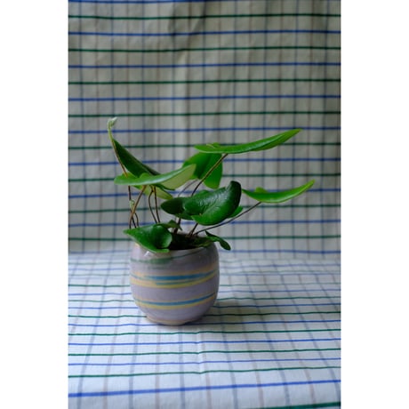 Yoshinori Takemura plant pot