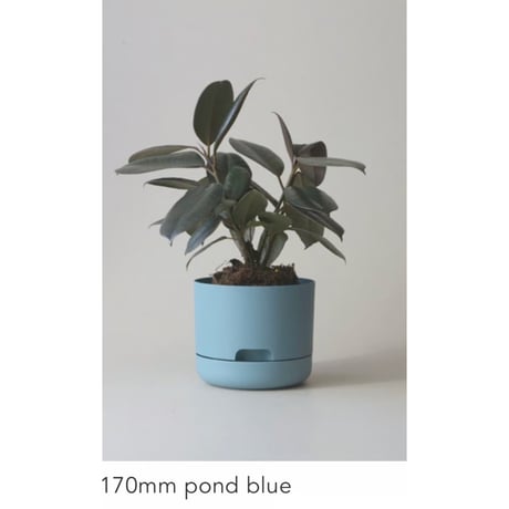 【170mm】KITLY Selfwatering Plant Pots