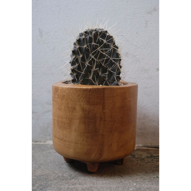 [廃盤] イハラカンタロウ　CORAL WQ851B-0_1200x1200.jpg?v=