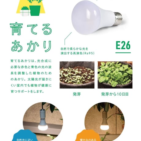 育てるあかり