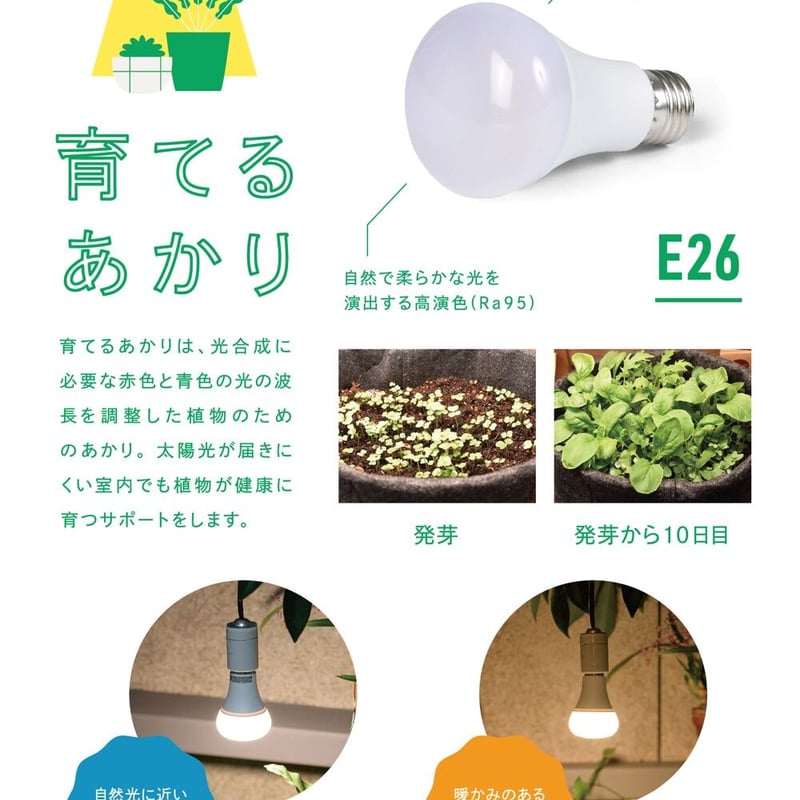 育てるあかり | SAI botanical works