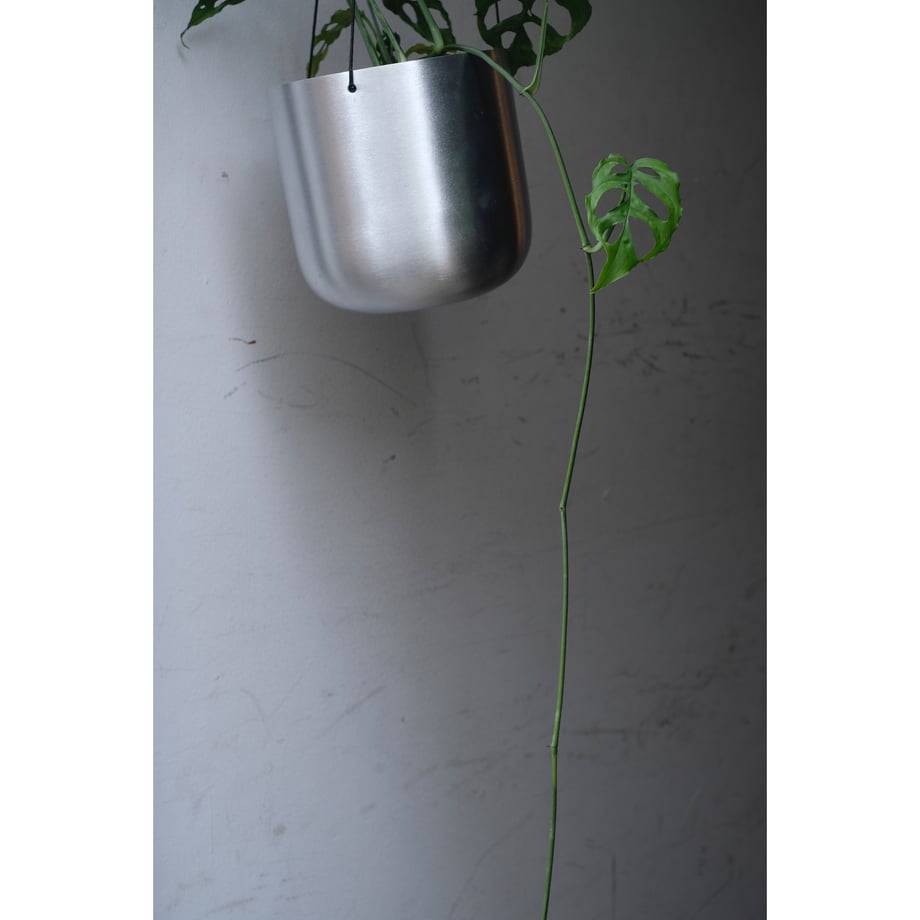 685fa81e191a4b32f1f5e46b