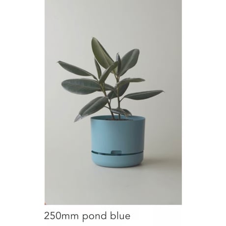【250mm】KITLY Selfwatering Plant Pots