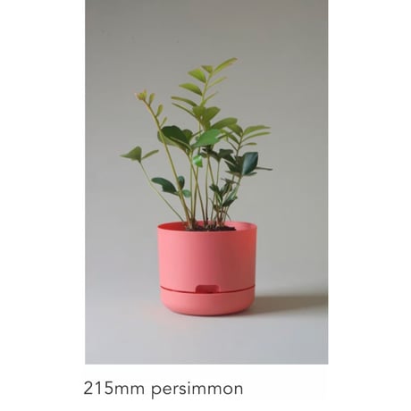 【215mm】KITLY Selfwatering Plant Pots