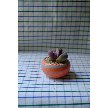 Yoshinori Takemura plant pot