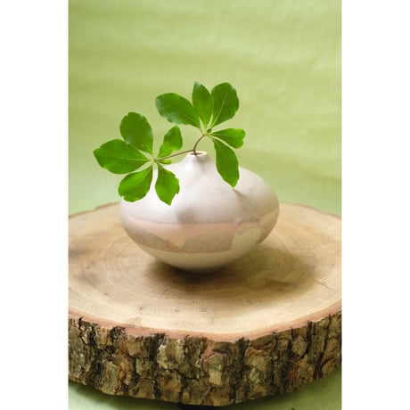 yoshinori takemura flowervase