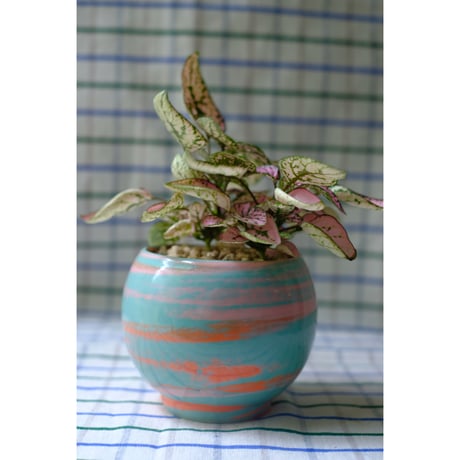 Yoshinori Takemura plant pot