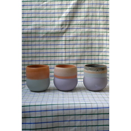 Yoshinori Takemura cup