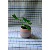 Yoshinori Takemura plant pot