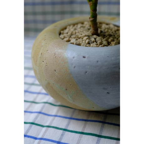 Yoshinori Takemura plant pot