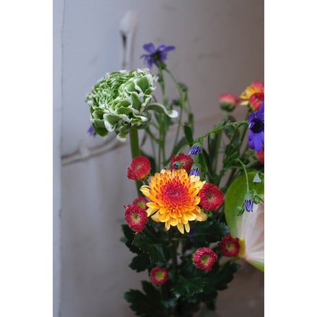 💐お花の定期便