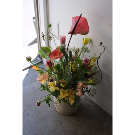 SAI Arrangement
