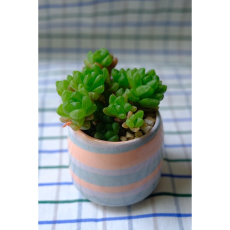 Yoshinori Takemura plant pot