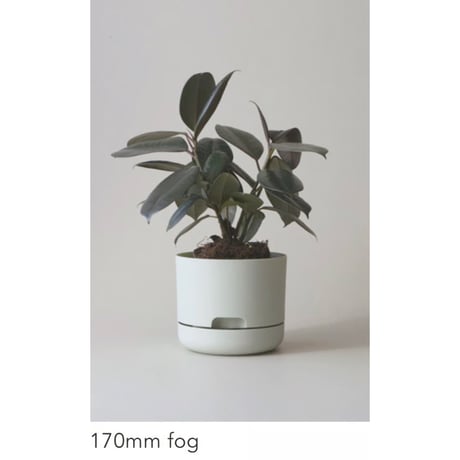 【170mm】KITLY Selfwatering Plant Pots