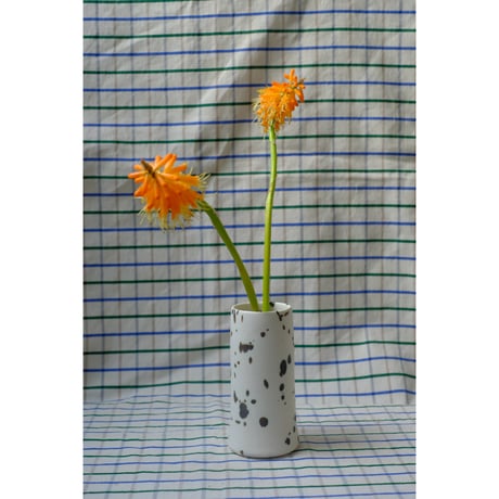 Yoshinori Takemura vase