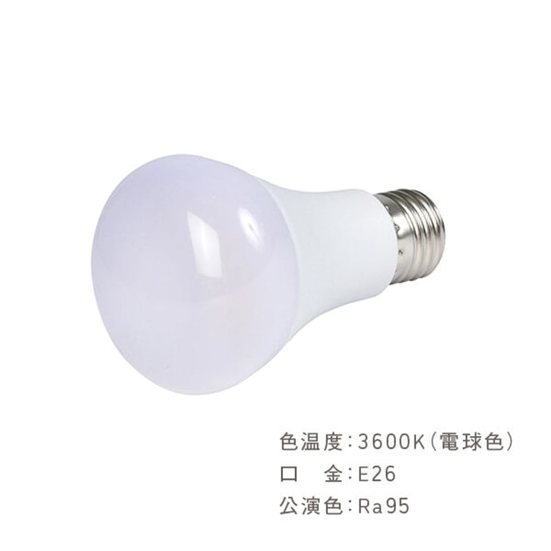 育てるあかり | SAI botanical works