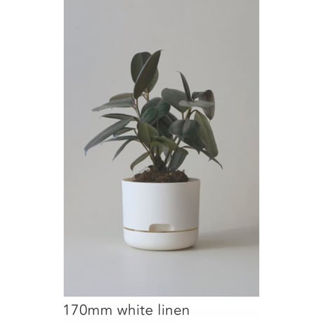 【170mm】KITLY Selfwatering Plant Pots