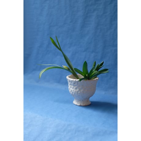 CATEGORY Flower Vase | SAI botanical works