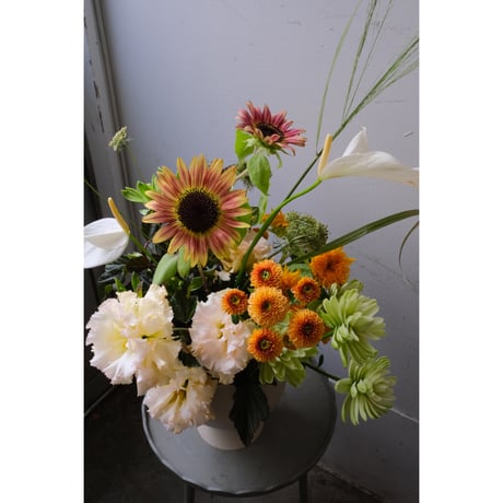 SAI Arrangement