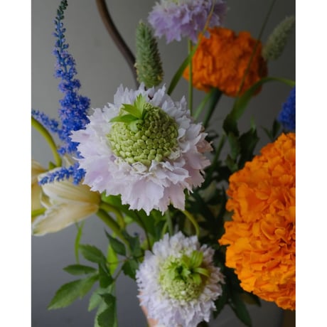 💐お花の定期便
