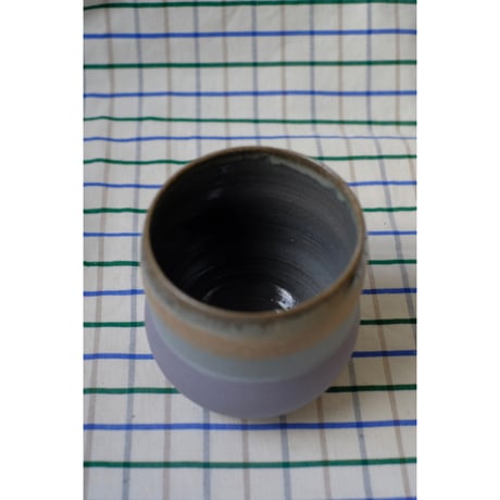 Yoshinori Takemura cup