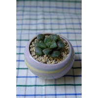 Yoshinori Takemura plant pot