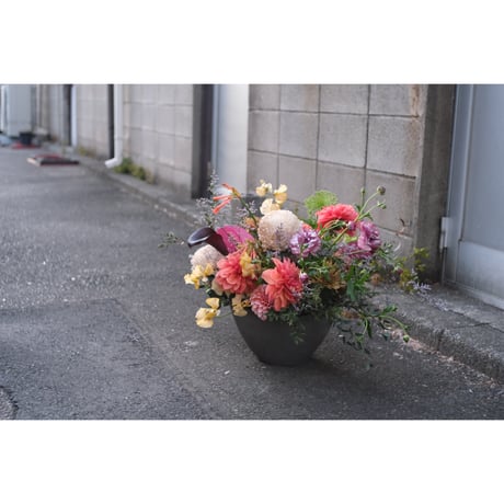 SAI Arrangement