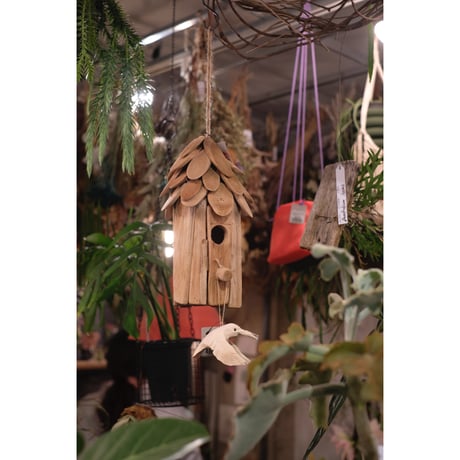 Bird house cottage