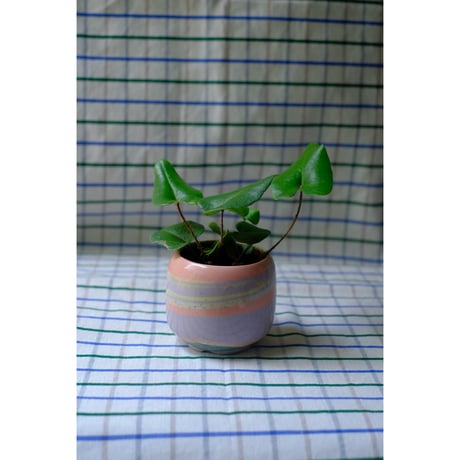 Yoshinori Takemura plant pot
