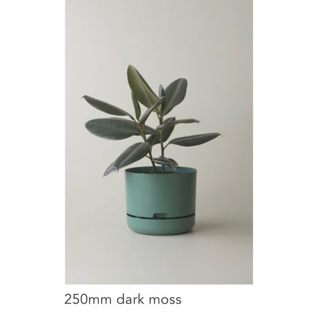 【250mm】KITLY Selfwatering Plant Pots