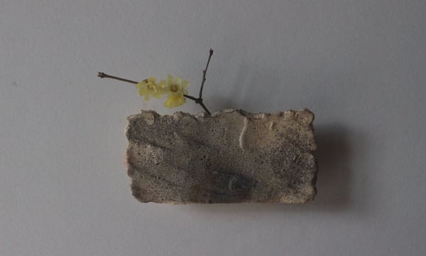 うつわ 吉澤直樹&遠藤薫