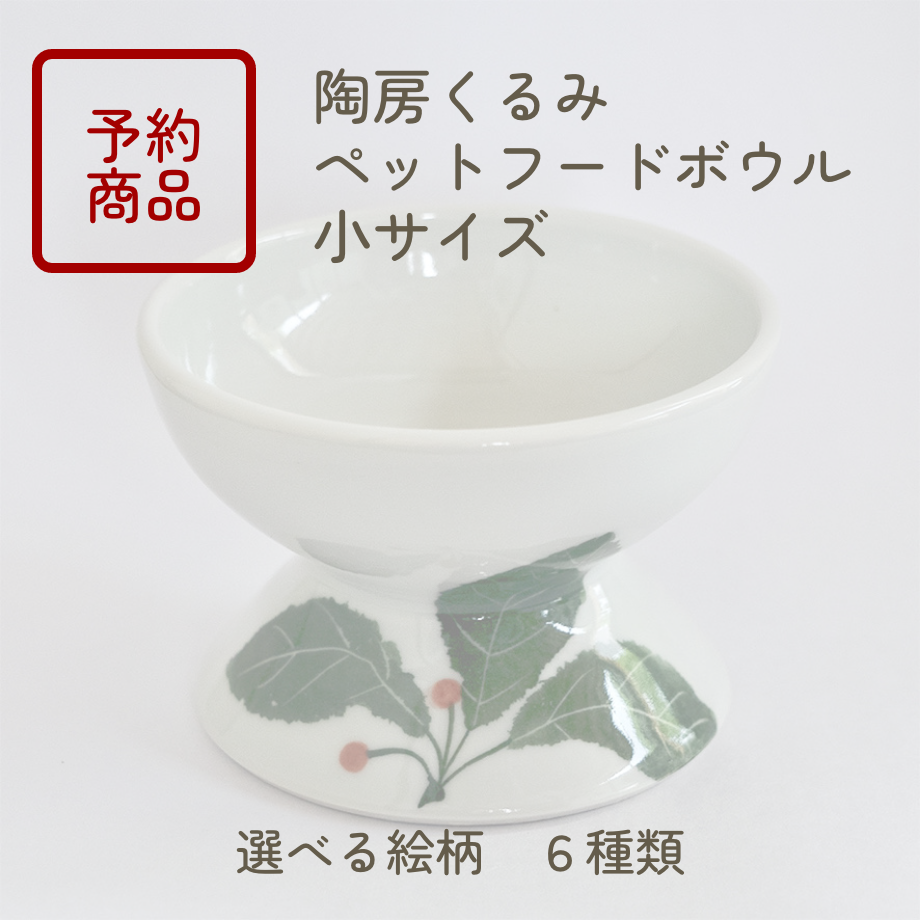 65e11ff1b37ea4004654cf84