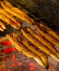 高知県産うなぎ蒲焼　2尾セット【冷凍便】