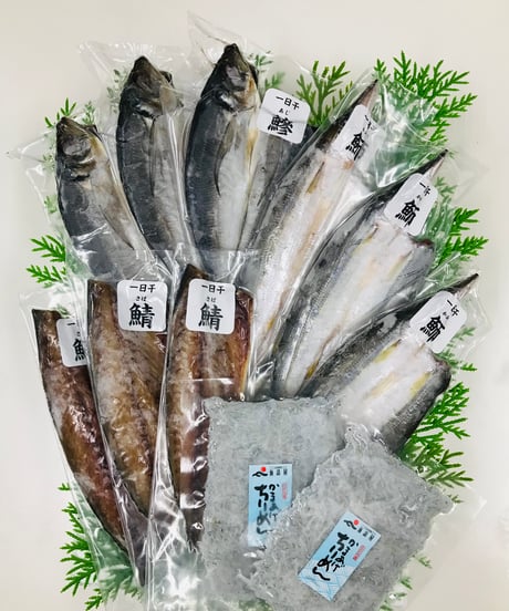 一日干セット【冷凍便】