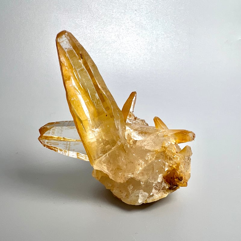 ライモナイトインガネーシュヒマール ライモナイトインガネーシュヒマール