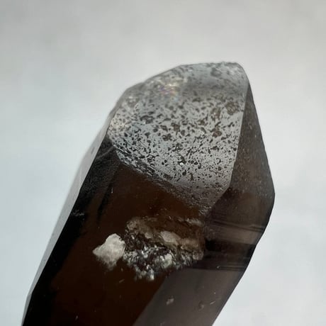 【ガウリシャンカール産】天然ヒマラヤスモーキークォーツ バチカン付きペンダントトップ/Gaurishankar HimalayanSmoky Silver925 pendant top