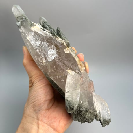 大特価【ガネッシュヒマール産】クローライトイン天然ヒマラヤ水晶❾/Ganesh Himal Chlorite in Himalayan Quartz