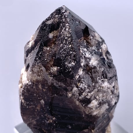 ガウリシャンカール産天然ヒマラヤスモーキークォーツポイント/Gaurishankar Himalayan Quartz Point